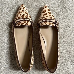 Cheetah Ann Taylor flats